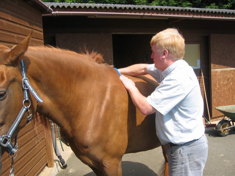 Saddle Flocking Course